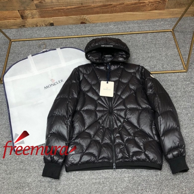 batch_8701669971502_.pic.jpg