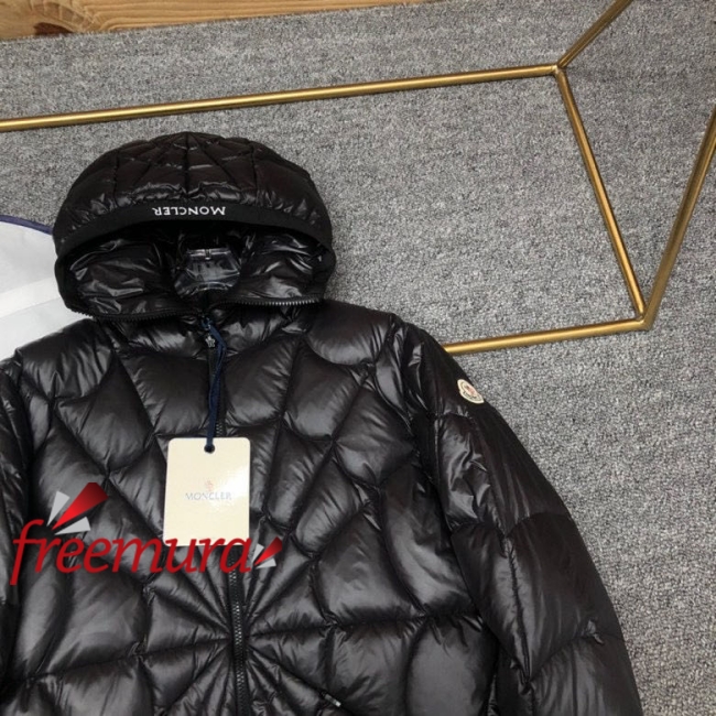 batch_8761669971502_.pic.jpg