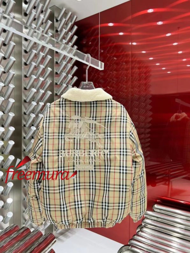 batch_21691673513708_.pic.jpg