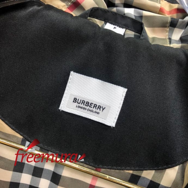 batch_29611675263502_.pic.jpg