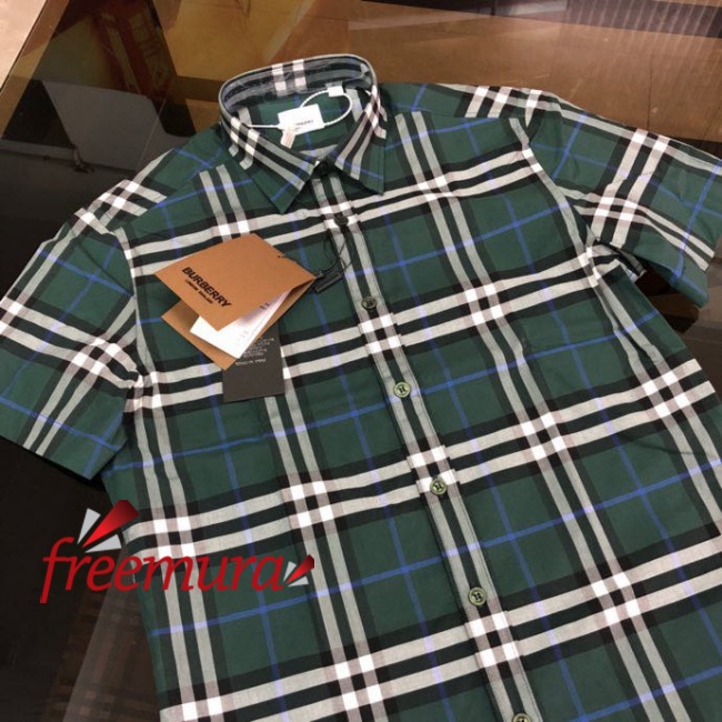 batch_85601679459284_.pic.jpg
