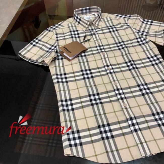 batch_85801679459341_.pic.jpg