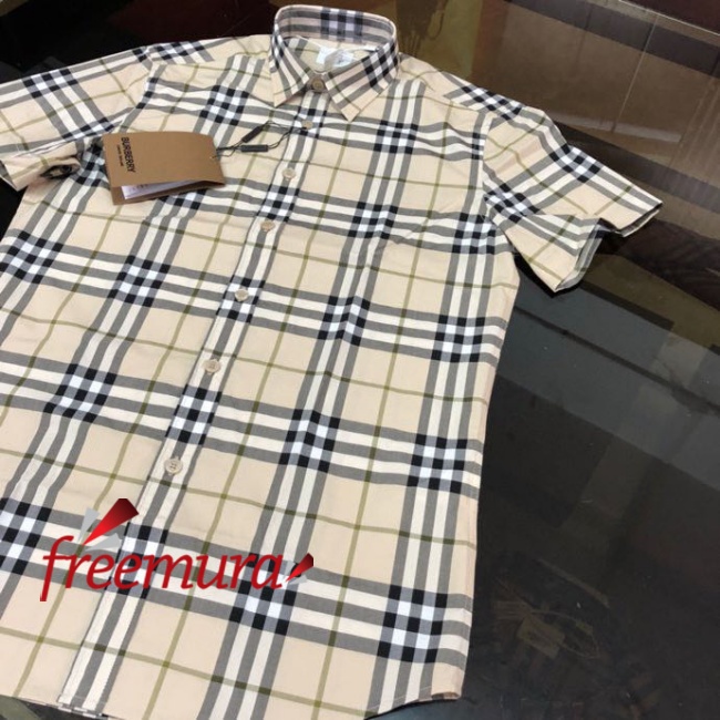 batch_85821679459341_.pic.jpg