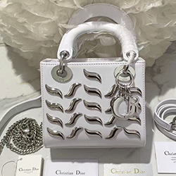 크리스찬디올 신상백 미니