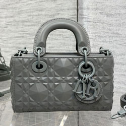 크리스찬디올 숄더백 DR230826