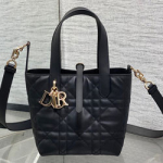 크리스찬디올 숄더백 M250102