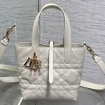 크리스찬디올 숄더백 M250102-3