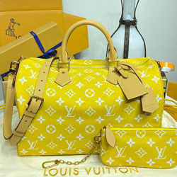 루이비통 Speedy P9 반둘리에 40 M24419