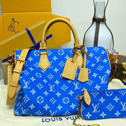 루이비통 Speedy P9 반둘리에 40 M24418