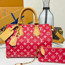 루이비통 Speedy P9 반둘리에 30 M21112