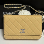 샤넬 WOC 플랩 백 AP3723