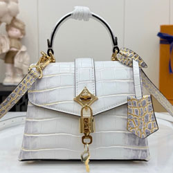 루이비통  ROSE DES VENTS mini M84713